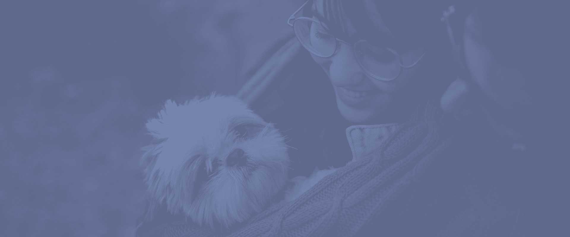 Angel Fund Turkey Creek Animal Hospital