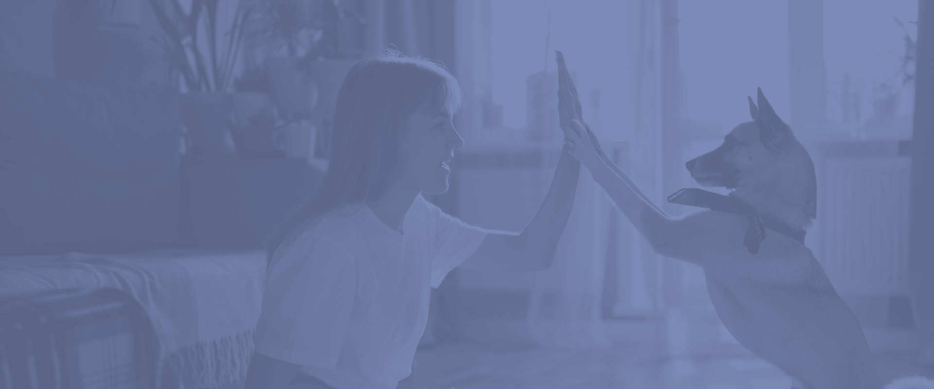 Our Legacy Turkey Creek Animal Hospital