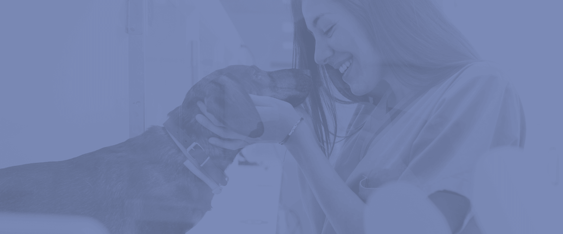 Meet the Team at Turkey Creek Animal Hospital