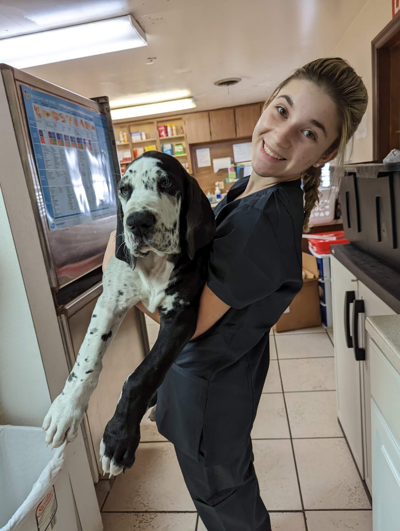 Ainsley Turkey Creek Animal Hospital