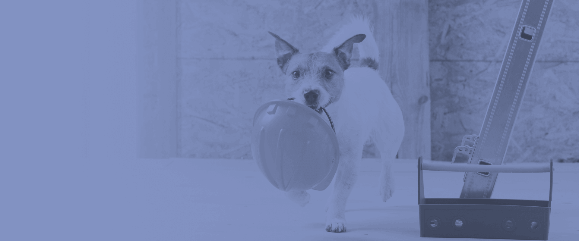 Unleash the Excitement—We’ve Broken Ground! Turkey Creek Animal Hospital