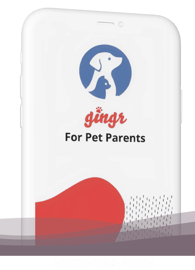 Gingr App